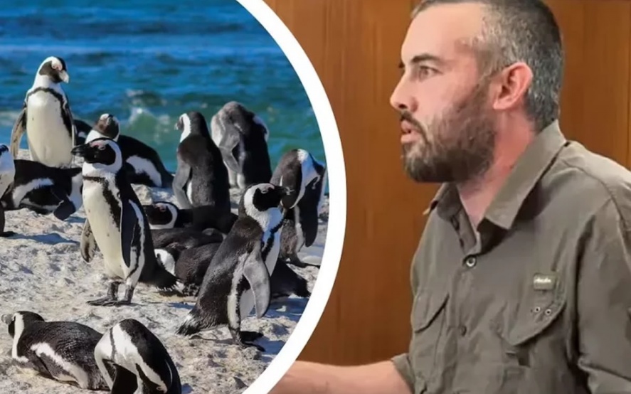 Ricardo La Regina./Fotografía: Canal 2 