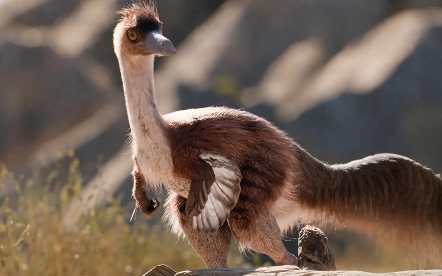 Se revelaron nuevos datos sobre la especie encontrada en el territorio rionegrino. 