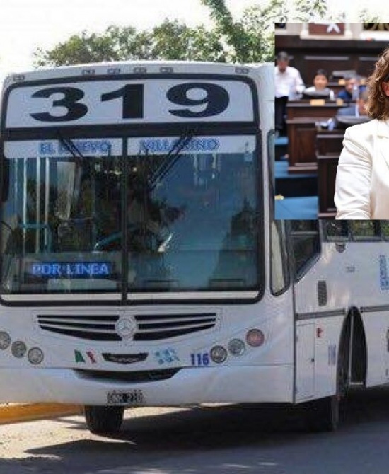 Priscila Minnaard, la diputada de la UCR – Unión Cívica Radical que alertó a la Legislatura bonaerense por el aumento de 120% en la Línea 319 que une Coronel Rosales con Bahía Blanca.