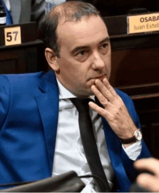 El diputado Francisco Adorni.