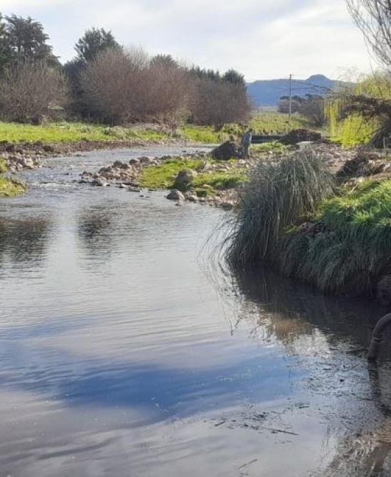 Avanza el saneamiento del Arroyo San Bernardo en Tornquist