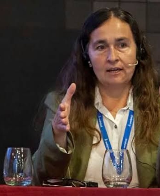 La investigadora Virginia Aparicio. 