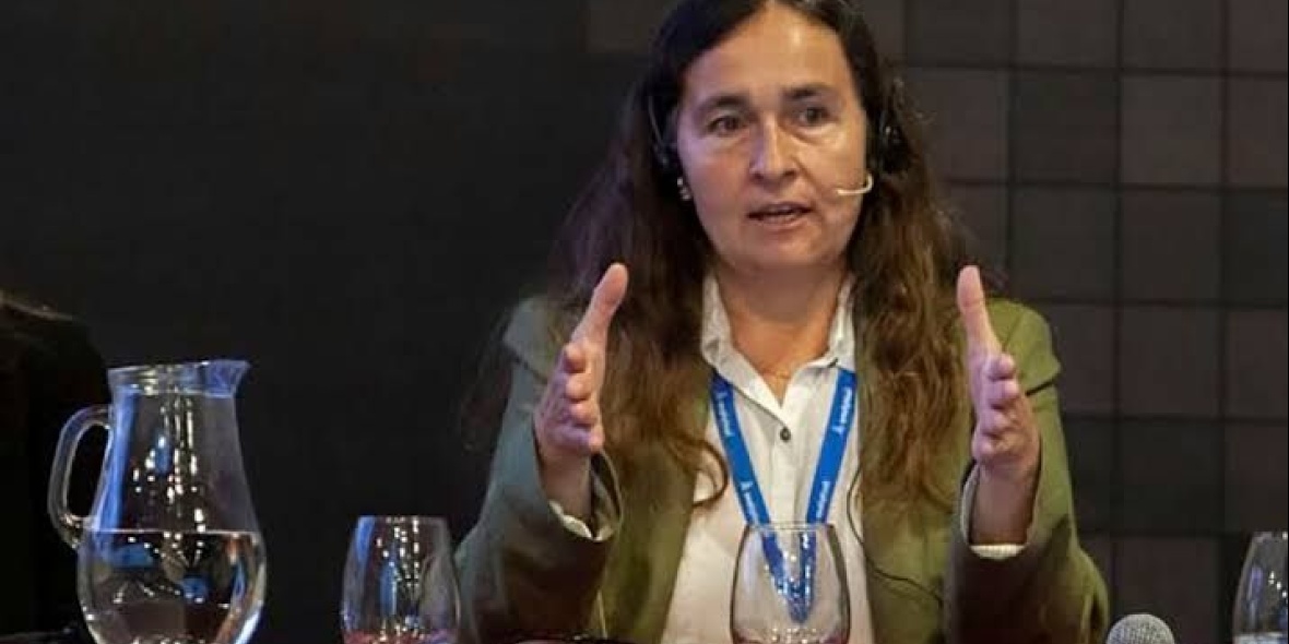 La investigadora Virginia Aparicio. 